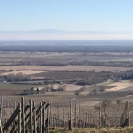 Theguthplace Apartment Rouffach